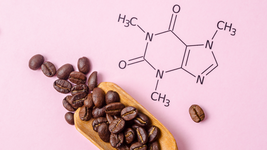 The truth about Caffeine Shampoos