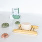 Shampoo and conditioner bar holder pictured with shells