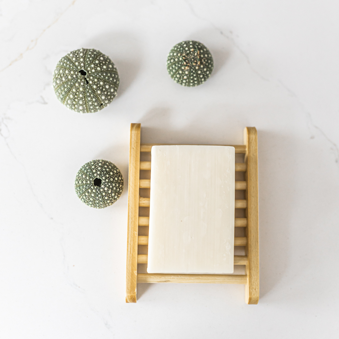 Shampoo and conditioner bar holder with three shells